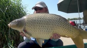 Nece, pa nece - Jezero Mika Alas EP202_15082023