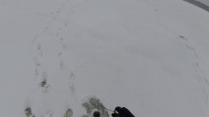 Озеро Каспля, 06.01.26 Разведка льда, поиск окуня.