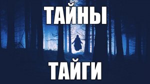 Тайга скрывала тайну.