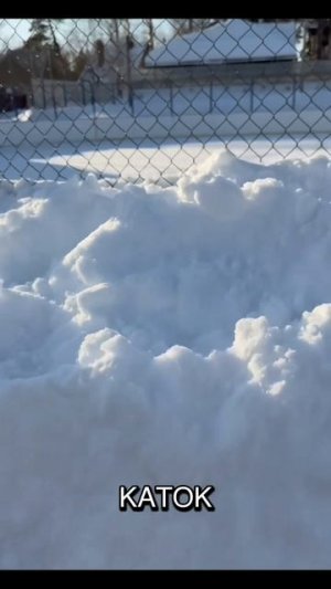 всех защитников поздравляем❗️❗️❗️