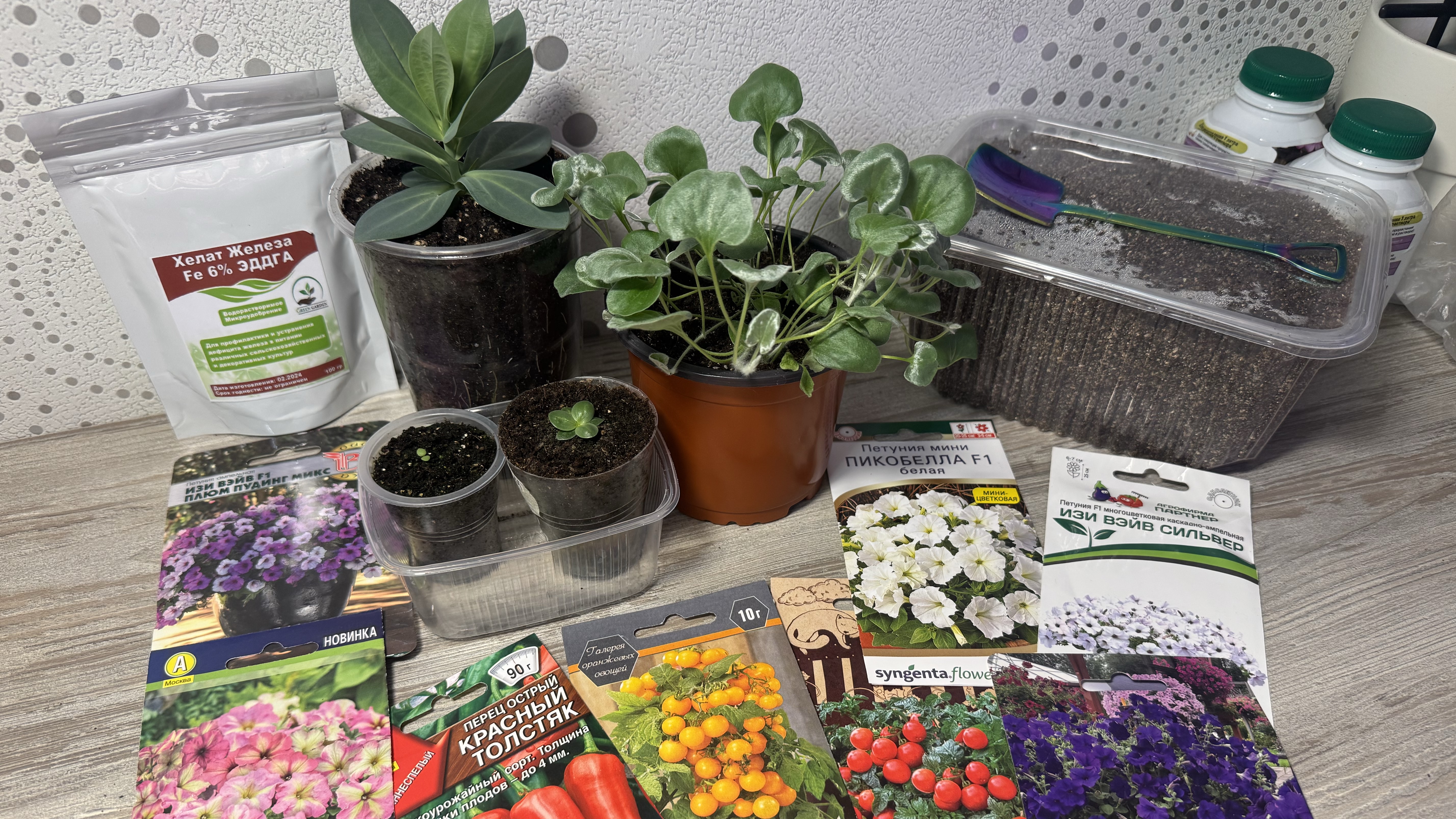 23.02.26 Рассада, присыпка, посевы и про хелат железа 6% смотреть онлайн