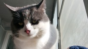 5 ночей с  мифами 3 ночь!!!