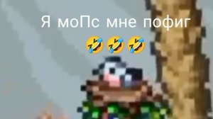 рака из ролика