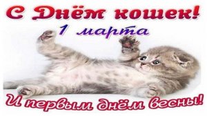 День кошек в России 1 марта