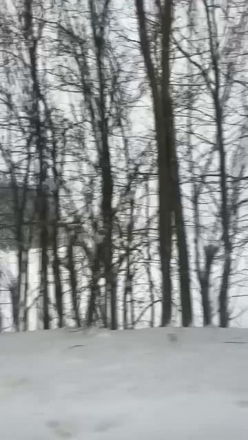 Зимнее поле смотреть онлайн