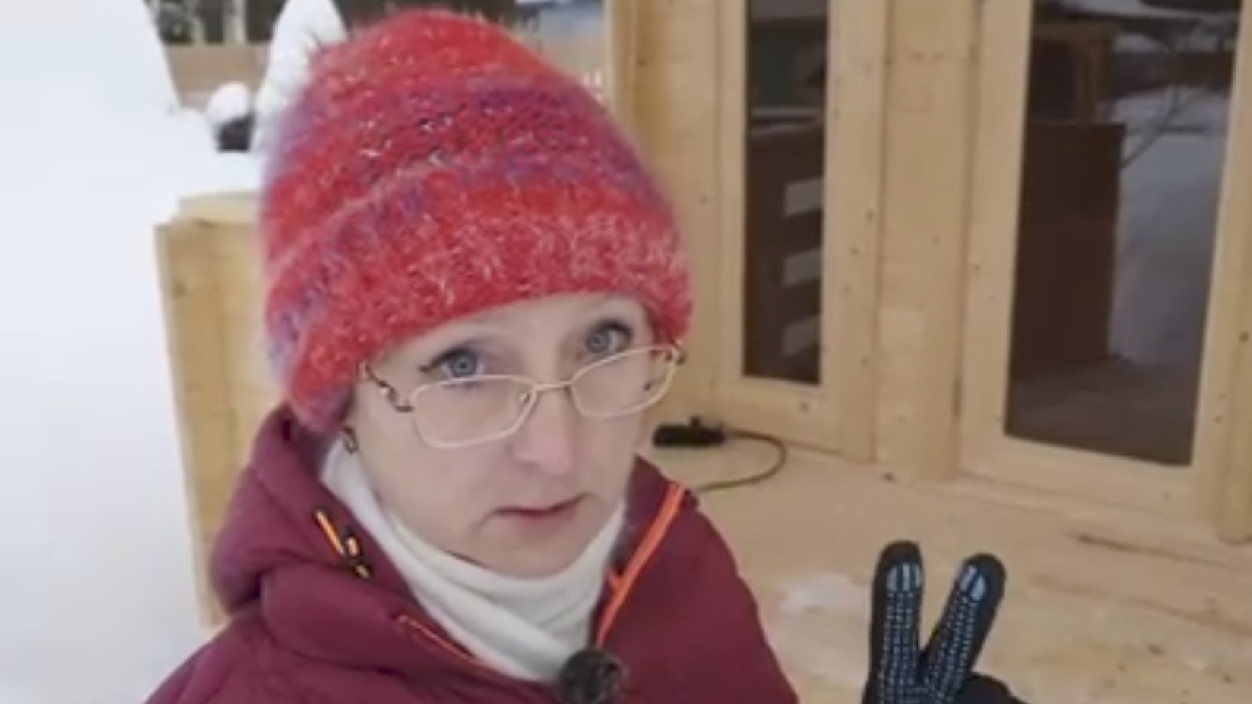 На дачу в феврале 2026 года. Применила сигнал охотника от бродячих собак! Эффективность. смотреть онлайн