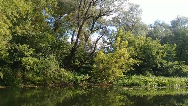 Отдыхаю на природе Отдыхаю на природе