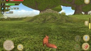 играю в симулятор белки и симулятор акулы (рыбы)