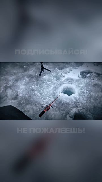 РЫБАЛКА С FISHЛОВ76! 🐟 ПОДПИСЫВАЙСЯ, НЕ ПОЖАЛЕЕШЬ! #рыбалка #fishing #зимняярыбалка #shorts #short РЫБАЛКА С FISHЛОВ76! 🐟 ПОДПИСЫВАЙСЯ, НЕ ПОЖАЛЕЕШЬ! #рыбалка #fishing #зимняярыбалка #shorts #short