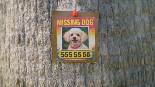 Nastya is helping her little friend find a super nanny смотреть онлайн