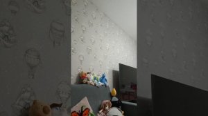 влог с котиком 3