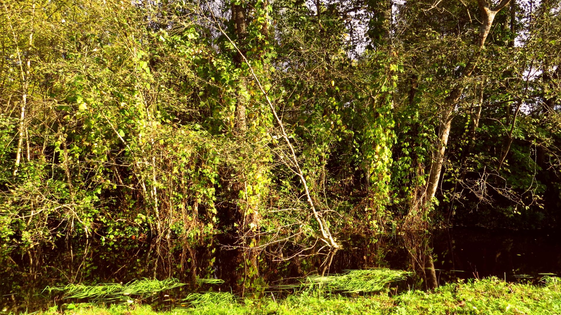 И ещё раз осенняя река смотреть онлайн