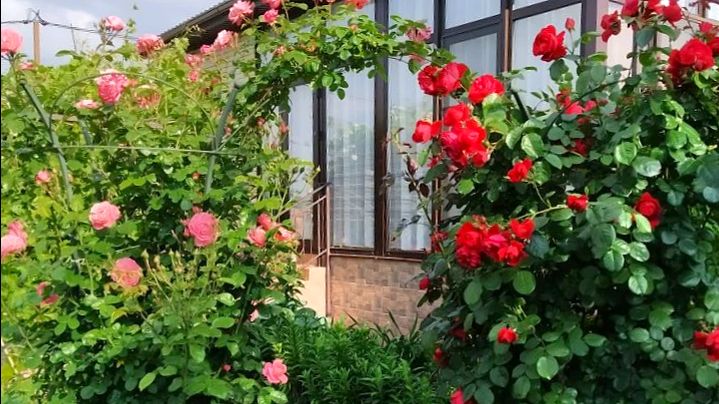 Продается дом 110 кв.м. на 5 сотках тел.8(928)429 94 99 Оксана #анапа #недвижимость Продается дом 110 кв.м. на 5 сотках тел.8(928)429 94 99 Оксана #анапа #недвижимость