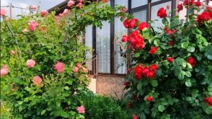 Продается дом 110 кв.м. на 5 сотках тел.8(928)429 94 99 Оксана #анапа #недвижимость