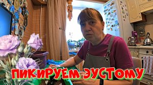 ПИКИРУЕМ ЭУСТОМУ