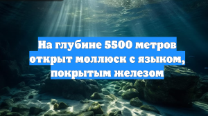 На глубине 5500 метров открыт моллюск с языком, покрытым железом