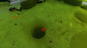 Вазуза, 21.02.2026