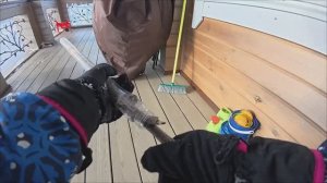 dji action 5 pro: испытание снегом и детской прогулкой