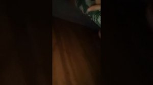 VID_20260223_212318.mp4