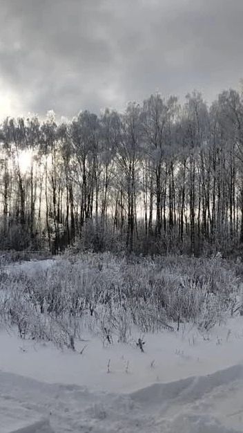 средняя полоса_вокализ_аудио