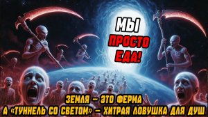 МЫ ПРОСТО ЕДА! Земля — это ферма, а «туннель со светом» — хитрая ловушка для душ