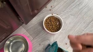 Журавлёв life. Почему я так ошибся? Возможно этого очень хотелось. Надеюсь лодка нам не понадобится!