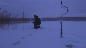 Рано утром ещё по темну забрасываю мормышку под тростник...Рыбалка по совету.(2022г)