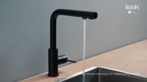 Смеситель для кухни с подключением к фильтру IDDIS Rule RULBLLFi05