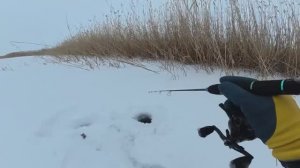 ЩУКА И ОКУНЬ НА БАЛАНСИР! Рыбалка в Астрахани 2026. Зимняя рыбалка 2026.