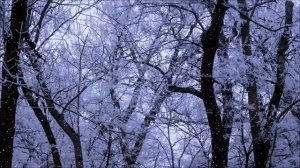 23 февраля возьмите ключ и скажите это.