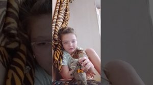 басо новосьти