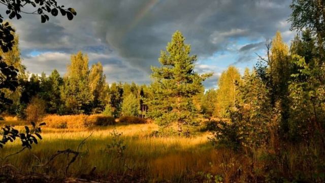 ЗОРЬКА,ЗОРЕНЬКА,ЗОРЕНЬКА ЯСНАЯ сл муз исполняет Николай Ананьев гармонь смотреть онлайн