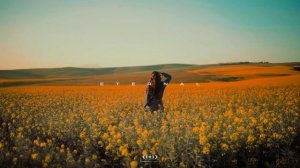 Eternal _ NightDrive mix [wave _ phonk]