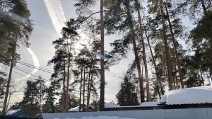 Может устроим стрим? Или нет поглядим в 6 часов вечера