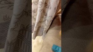 Ремонт в квартире  Сони