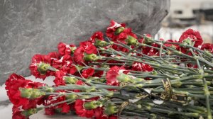 Торжественный митинг, посвященный 83-й годовщине сражения на озере Ильмень и Дню защитника Отечества