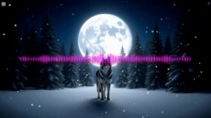 DJ Appolon - Одинокий волк