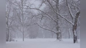 ЗВЕНИТ ЯНВАРСКАЯ ВЬЮГА