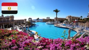 #41 Краткий обзор отеля Concorde El Salam Front Area Sharm El Sheikh 5*. Египет. Декабрь 2025