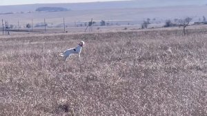 Альфа. 23. 02. 26