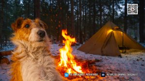 Поход с собакой в лютый мороз. Живём в уютной палатке