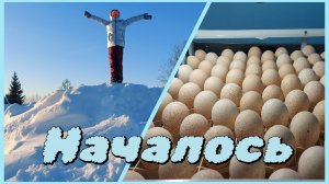 Начало инкубационного сезона 2026 года