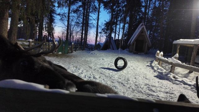 Еляты 22.02.2026