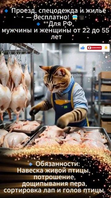 🌟 Вахта на птицефабрике в Белгороде! 🐔🏭