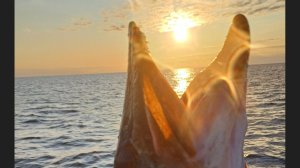 Фильм 18. Загадки Ладожского озера. Барантида.