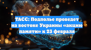 ТАСС: Подполье проведет на востоке Украины «акцию памяти» к 23 февраля