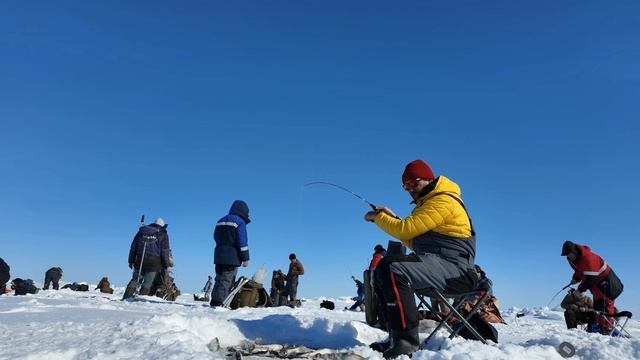 Сахалин. Тысячи людей на льду ради рыбы!