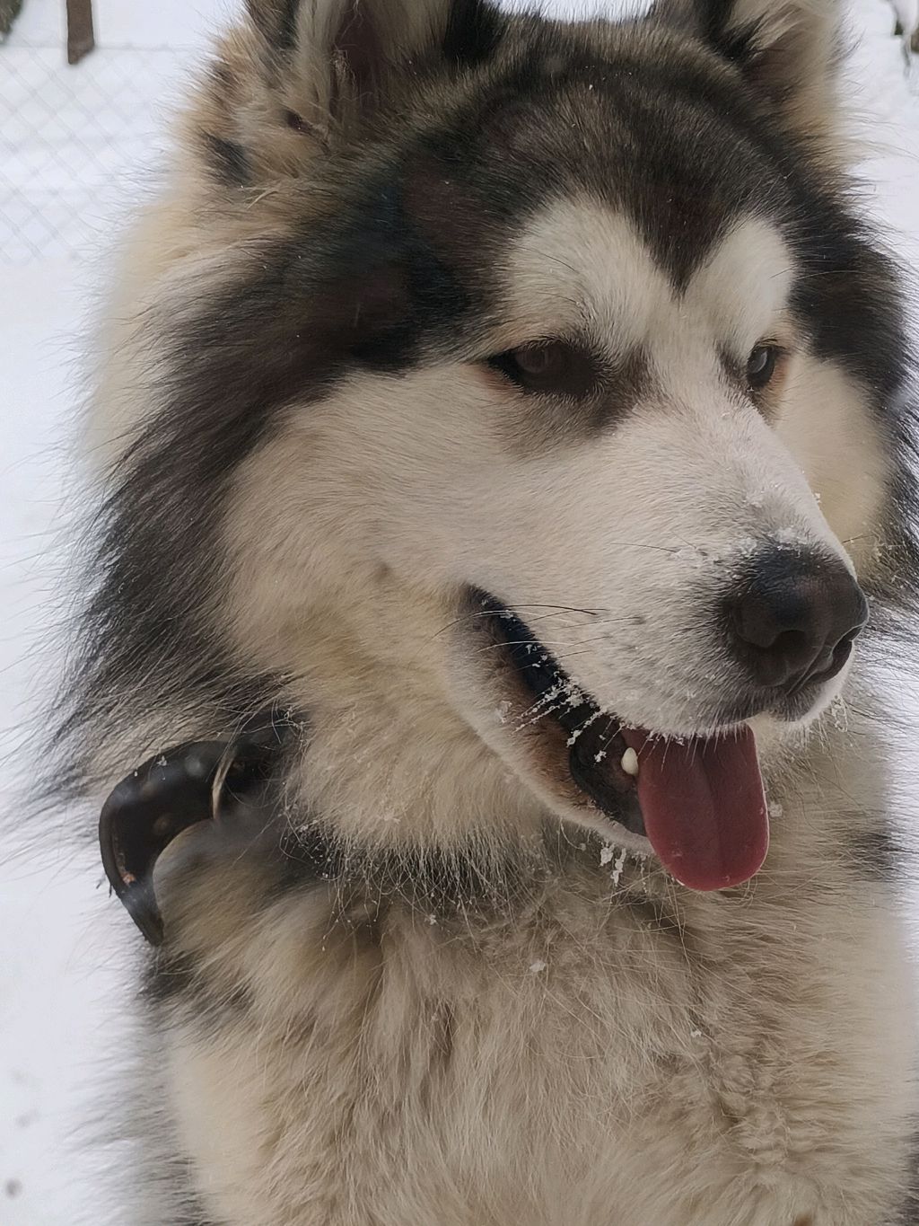 аааааккуууууу смотреть онлайн