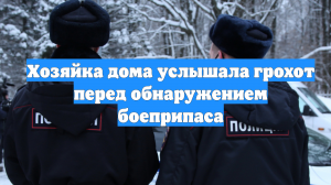 Хозяйка дома услышала грохот перед обнаружением боеприпаса