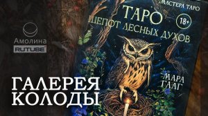 # 78 галерея ТАРО ШЕПОТ ЛЕСНЫХ ДУХОВ /ТАРО ДУХ ЛЕСА. Тропы, которые приведут к ответам